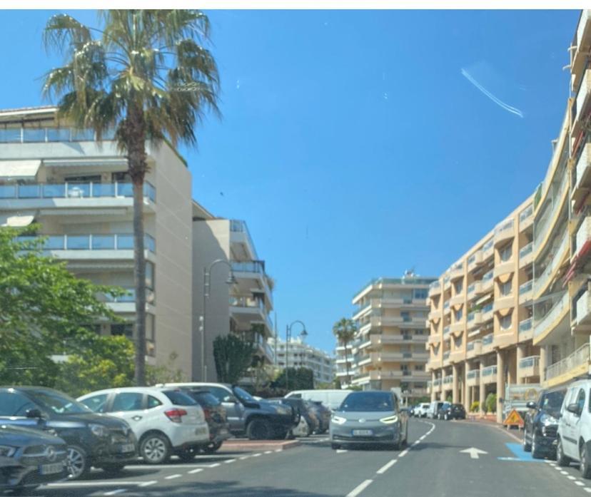 Magnifique 2 Pieces Palm Beach Bord Mer Cannes Eksteriør billede